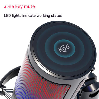 Professional RGB Condenser Microphone for Live Broadcasts